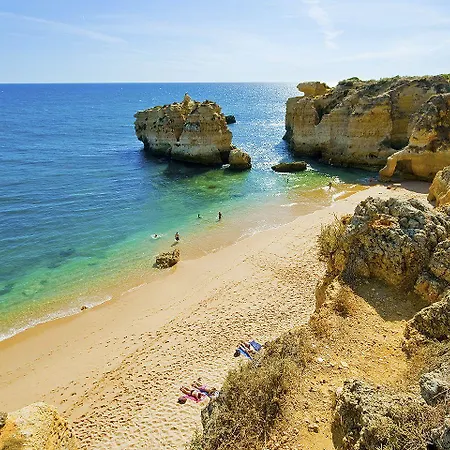 Channa - Adults Only