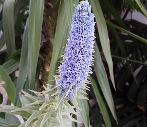 Villa Channa - Adults Only *