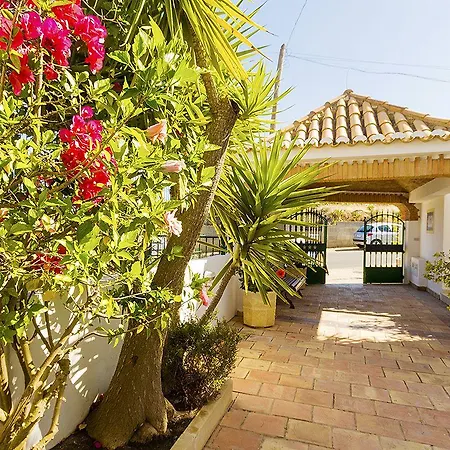 Channa - Adults Only