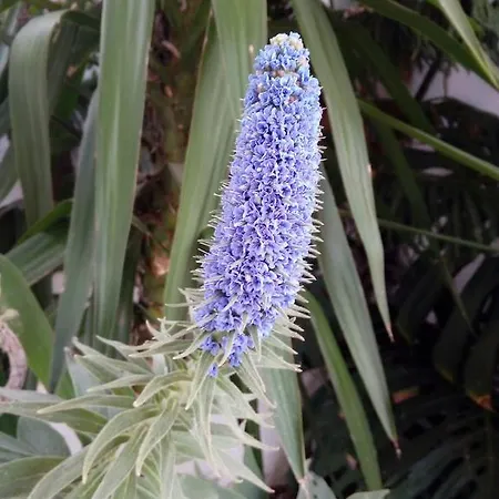 别墅 Channa - Adults Only *