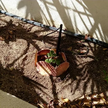 Villa Channa - Adults Only *