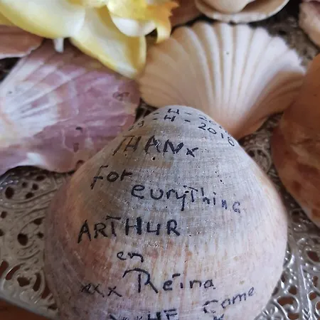 Channa - Adults Only