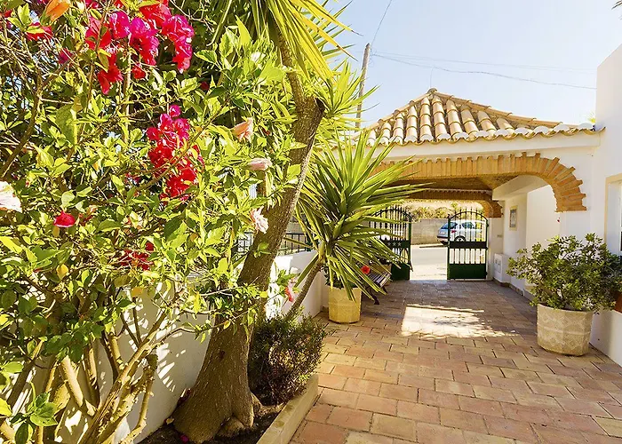 Channa - Adults Only