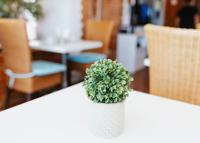 Channa - Adults Only