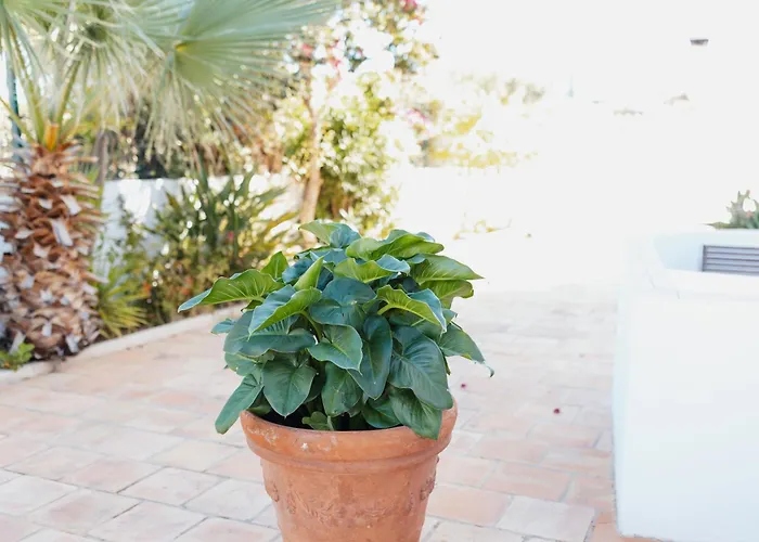 Channa - Adults Only *