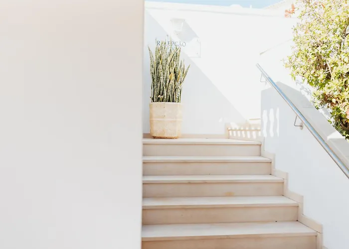 Channa - Adults Only * 알부페이라