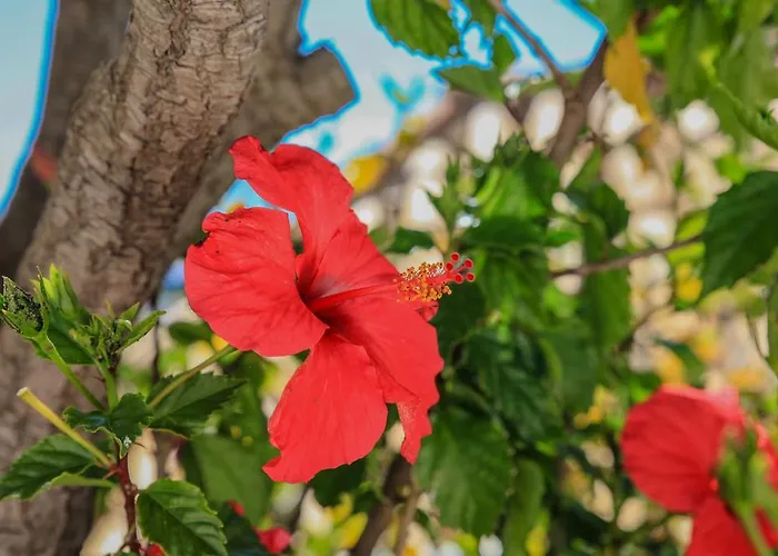 빌라 Channa - Adults Only