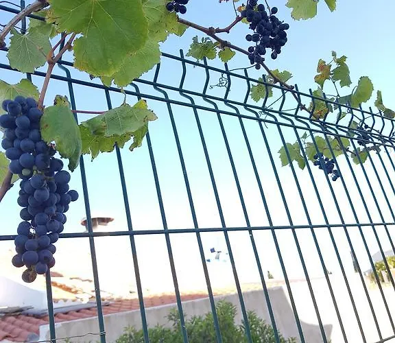 빌라 Channa - Adults Only *