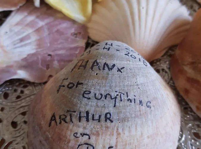 Channa - Adults Only