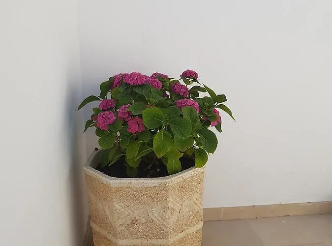 빌라 Channa - Adults Only *