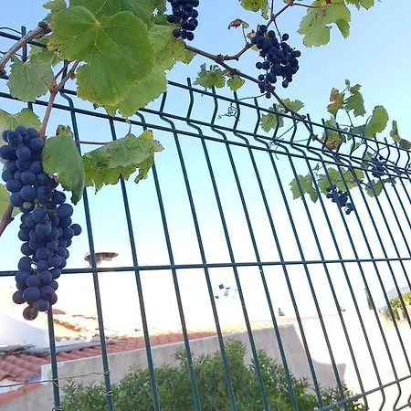 Villa Channa - Adults Only *